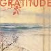 Gratitude