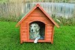 Trixie 39530 natura Hundehütte, S: 71 × 77 × 76 cm