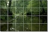 Lakes Rivers Photo Shower Tile Mural 2. 32x40 inches using (20) 8x8 ceramic tiles.