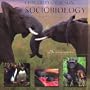 Sociobiology: The New Synthesis, Twenty-Fifth Anniversary Edition