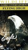 Wildlife: The Bald Eagle - Flying High