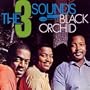 Black Orchid