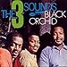 Black Orchid