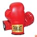 Everlast 2962 Traditional Boxing Gloves (12 oz.)