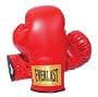 Everlast 2962 Traditional Boxing Gloves (12 oz.)