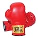 Everlast 2964 Traditional Boxing Gloves (14 oz.)
