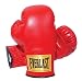 Sporting Goods : Everlast 2964 Traditional Boxing Gloves (14 oz.)