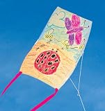 Color a Sled Kite Kit B001U34AWA