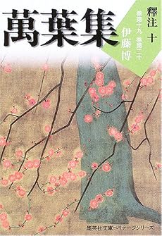 萬葉集釋注 10 集英社文庫ヘリテージシリーズ