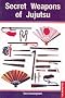 Secret Weapons of Jujutsu (Tuttle Martial Arts)