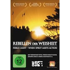 Rebellen der Weisheit: Fierce Light - When Spirit meets Action