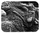 ALH84001 Martian Meteorite Mouse Pad