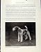 WIRE FOX TERRIED DOG HOUND PET ANIMAL OLD PRINT PHOTO