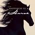 Happiness Is A Horse