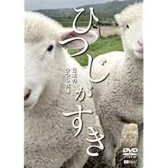 �V���t�H���X�gDVD �Ђ������� ���{�̂Ђ��q��