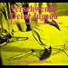 Pflicht-K�ufe