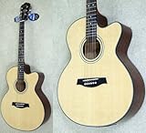 Ibanez AEJ7E NT