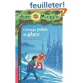 La Cabane Magique, Tome 27 : L'�trange palais de glace