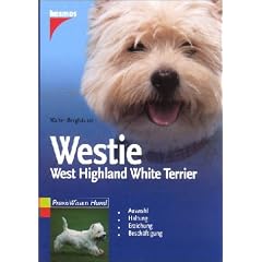 Westie. West Highland White Terrier: Auswahl. Haltung. Erziehung. Besch�ftigung