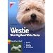 Westie. West Highland White Terrier: Auswahl. Haltung. Erziehung. Besch�ftigung