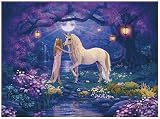 Ravensburger - Puzzle - Le Jardin Des Songes - 500 Pieces