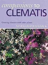 Companions to Clematis: Growing Clematis with Other Plants