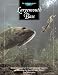 Largemouth Bass: Tournament-Tested Patterns for Catching Big Bass in Lakes, Rivers, and Resevoirs (The Freshwater Angler)