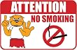 Rex Otter Pool Sign - No Smoking