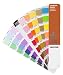 Pantone GG1311 Starter Formula Guide
