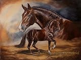 Produkt-Bild: Vererberlegenden 2013: Hengste der Warmblutzucht