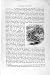 Natural History 1895 Common Snipe Bird Wilson Family