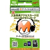 �����ƥ����ȸ���������ɥ���ƥ������microSD 256MB