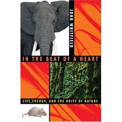 In the Beat of a Heart: Life, Energy, and the Unity of Nature