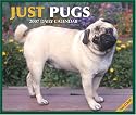 Just Pugs 2007 Box Calendar
