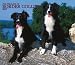 For the Love of Border Collies 2007 Deluxe Calendar