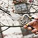 Garden Profession Pruning Shears - Heavy Duty Hand Pruners for Serious Gardening - Sharp Garden Clippers, Tree Trimmers, Secateurs and Steel Bypass Pruner