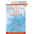 The Spiritual Life of Water: Its Power and Purpose