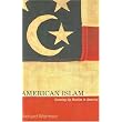 American Islam: Growing up Muslim in America ~ Richard Wormser