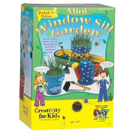 Childrens Toyshop  Toys : Cfk Paint Your Own Mini Window Sill Garden