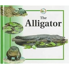 The Alligator (Life Cycles (Raintree Hardcover))