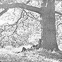Yoko Ono/Plastic Ono Band
