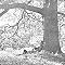 Yoko Ono/Plastic Ono Band