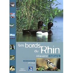 Les bords du Rhin