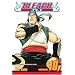 Bleach: v. 10