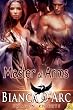 Master at Arms (Dragon Knights)