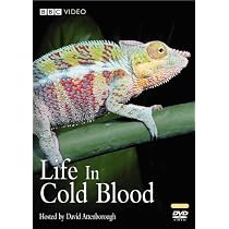 Life in Cold Blood