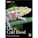 Life in Cold Blood