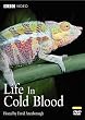 Life in Cold Blood
