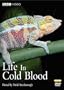 Life in Cold Blood