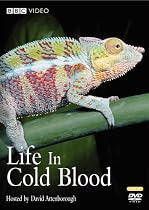 Life in Cold Blood